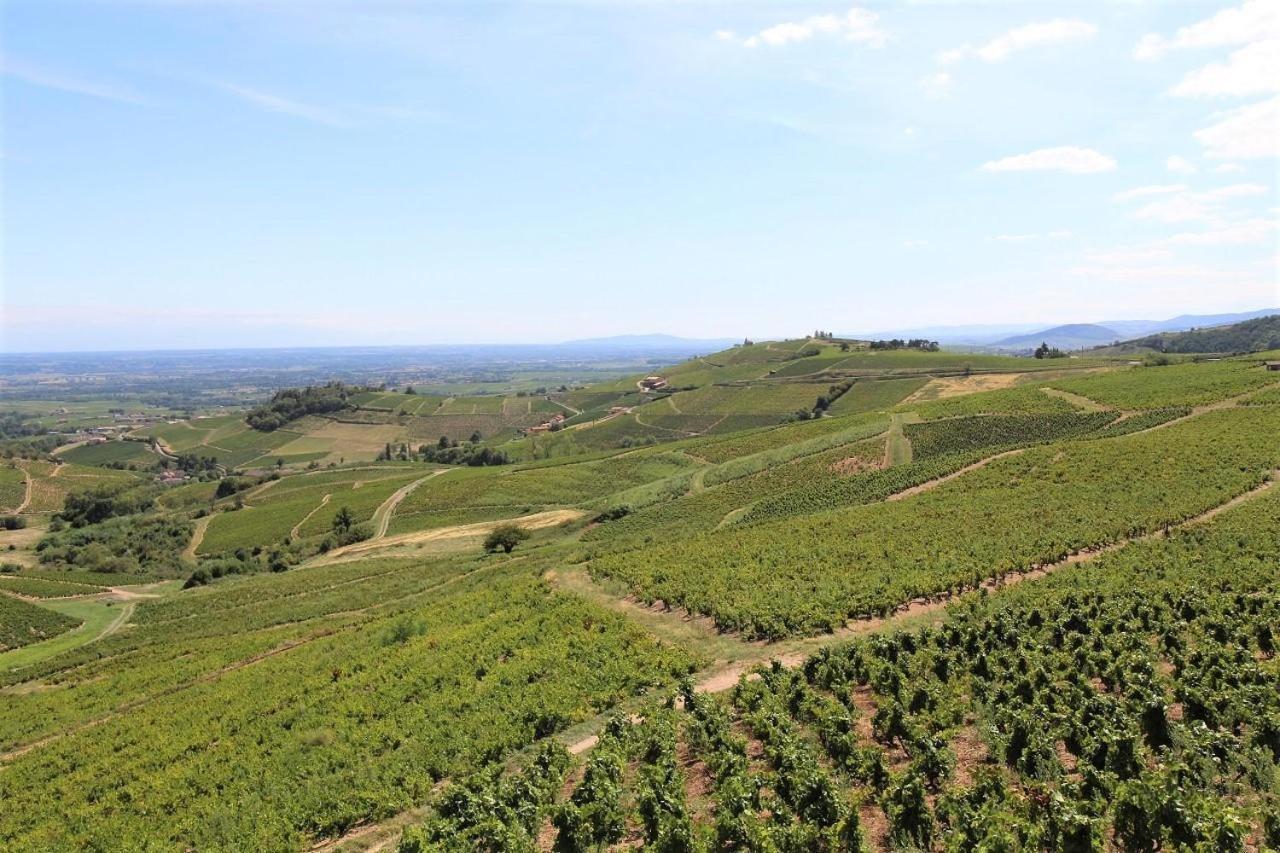Hotel Tiny House Au Coeur Du Vignoble Beaujolais Fleurie Zewnętrze zdjęcie
